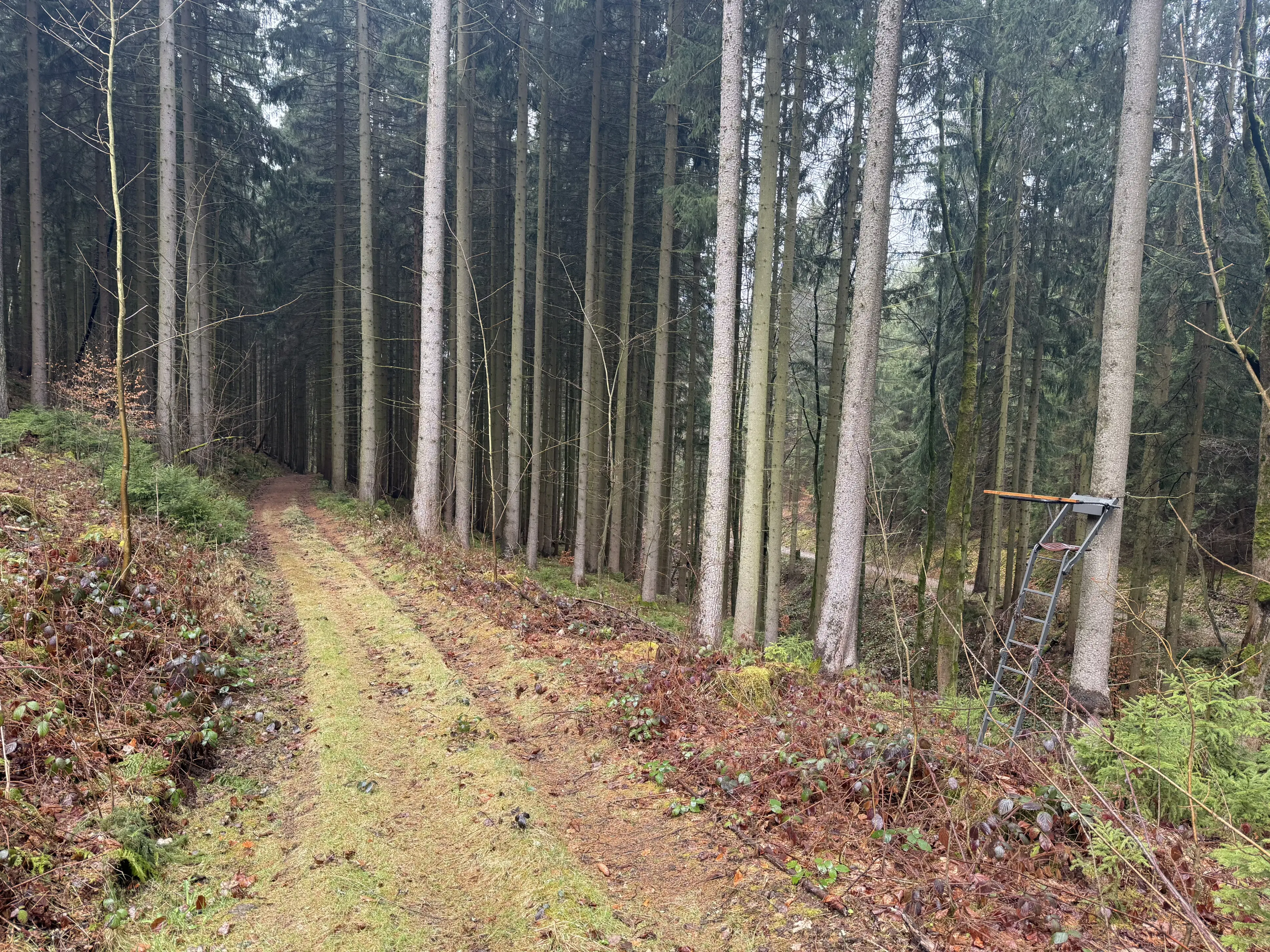 Eigendomsperceel van 2.172 m² nabij vakantiehuizen, Annaberg - Duitsland