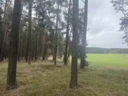 2 Eigendomspercelen van totaal 1.825 m² in Leippe - Duitsland