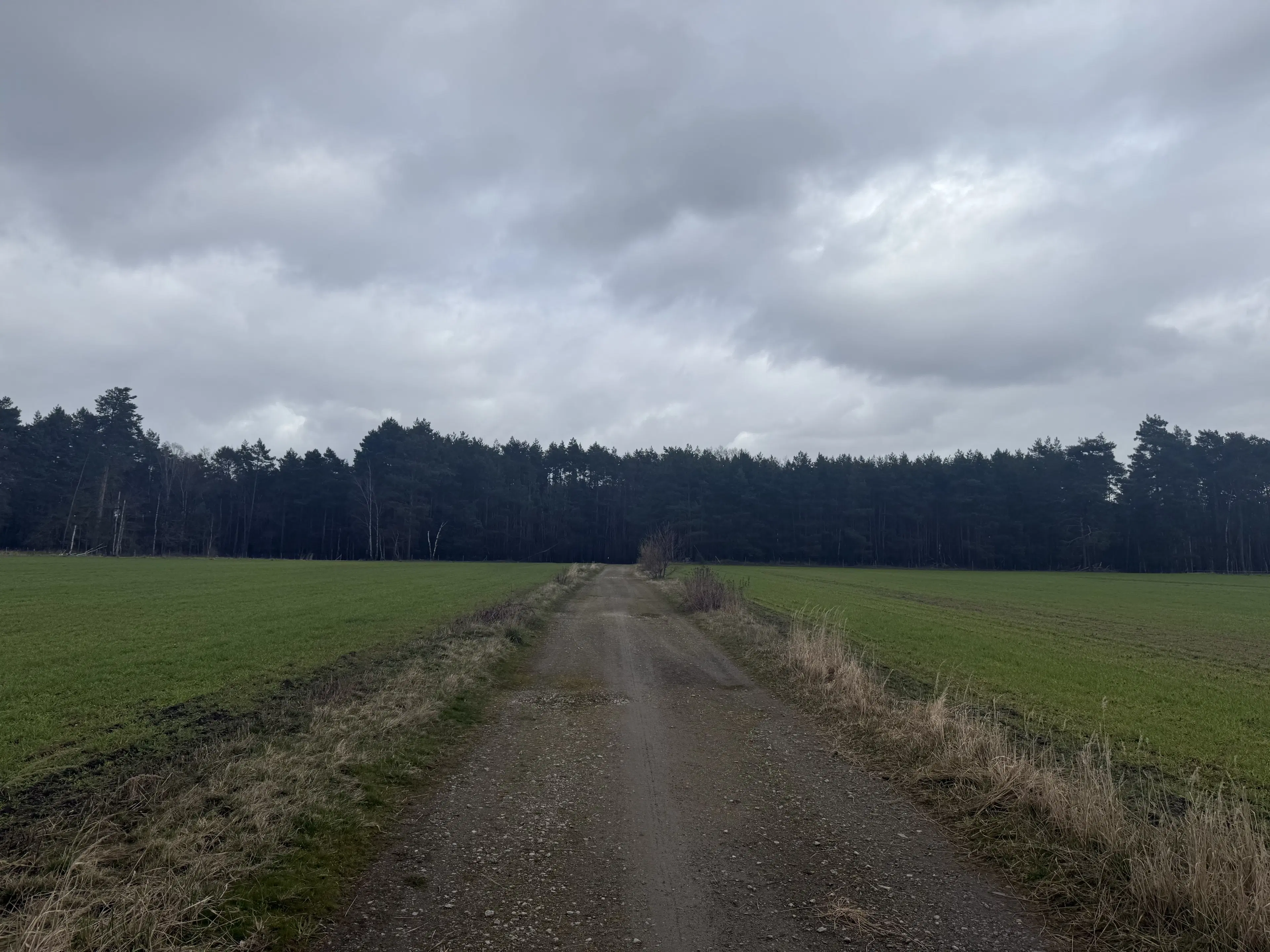 2 Eigendomspercelen van totaal 1.825 m² in Leippe - Duitsland