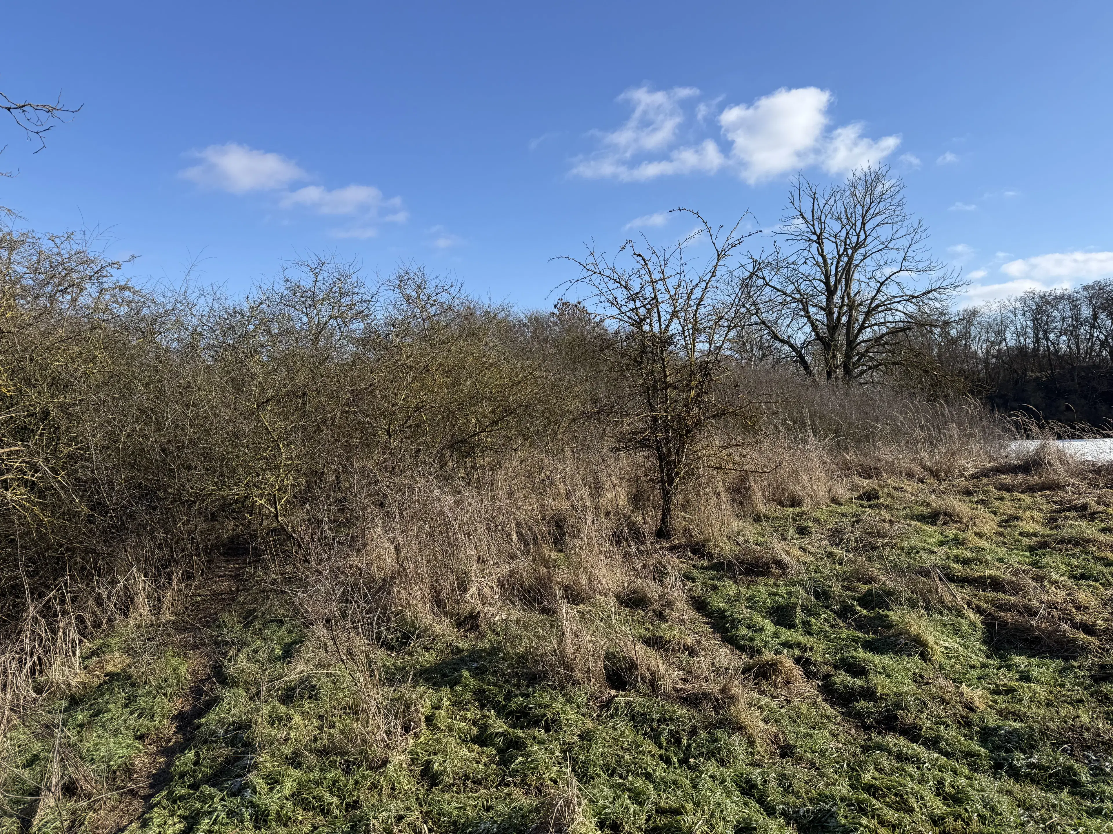 Eigendomsperceel van 1.240 m² in Emden, Duitsland