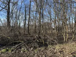 Eigendomsperceel van 616 m² nabij Potsdam - Duitsland