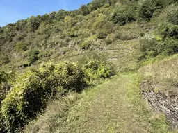 Perceel met uitzicht over camping (634 m²) in Cochem - Duitsland