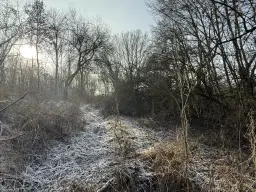 1.022 m² eigendomsperceel in de regio Döbeln - Duitsland