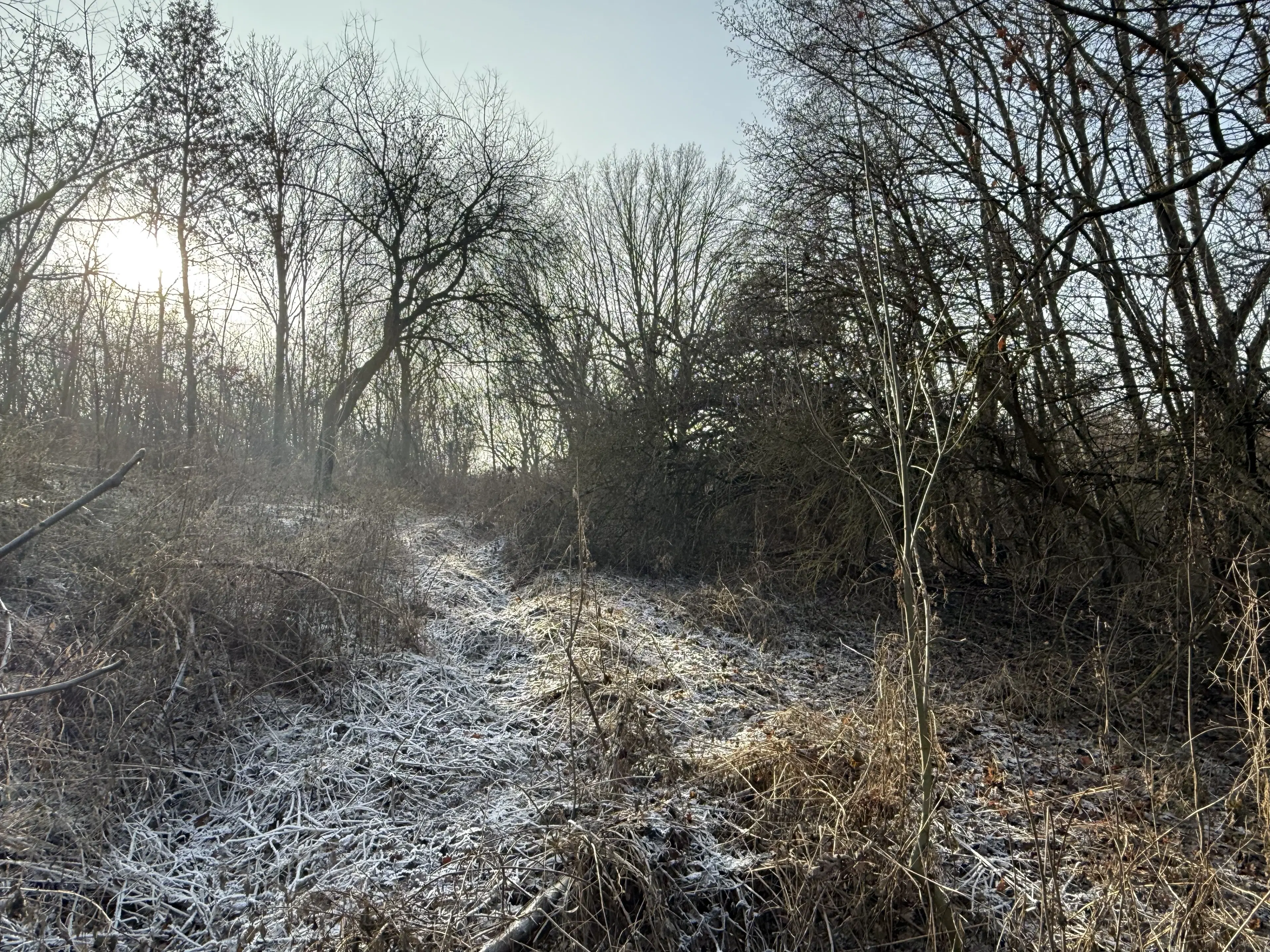 1.022 m² eigendomsperceel in de regio Döbeln - Duitsland