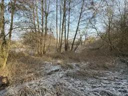 1.022 m² eigendomsperceel in de regio Döbeln - Duitsland