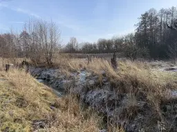 1.022 m² eigendomsperceel in de regio Döbeln - Duitsland