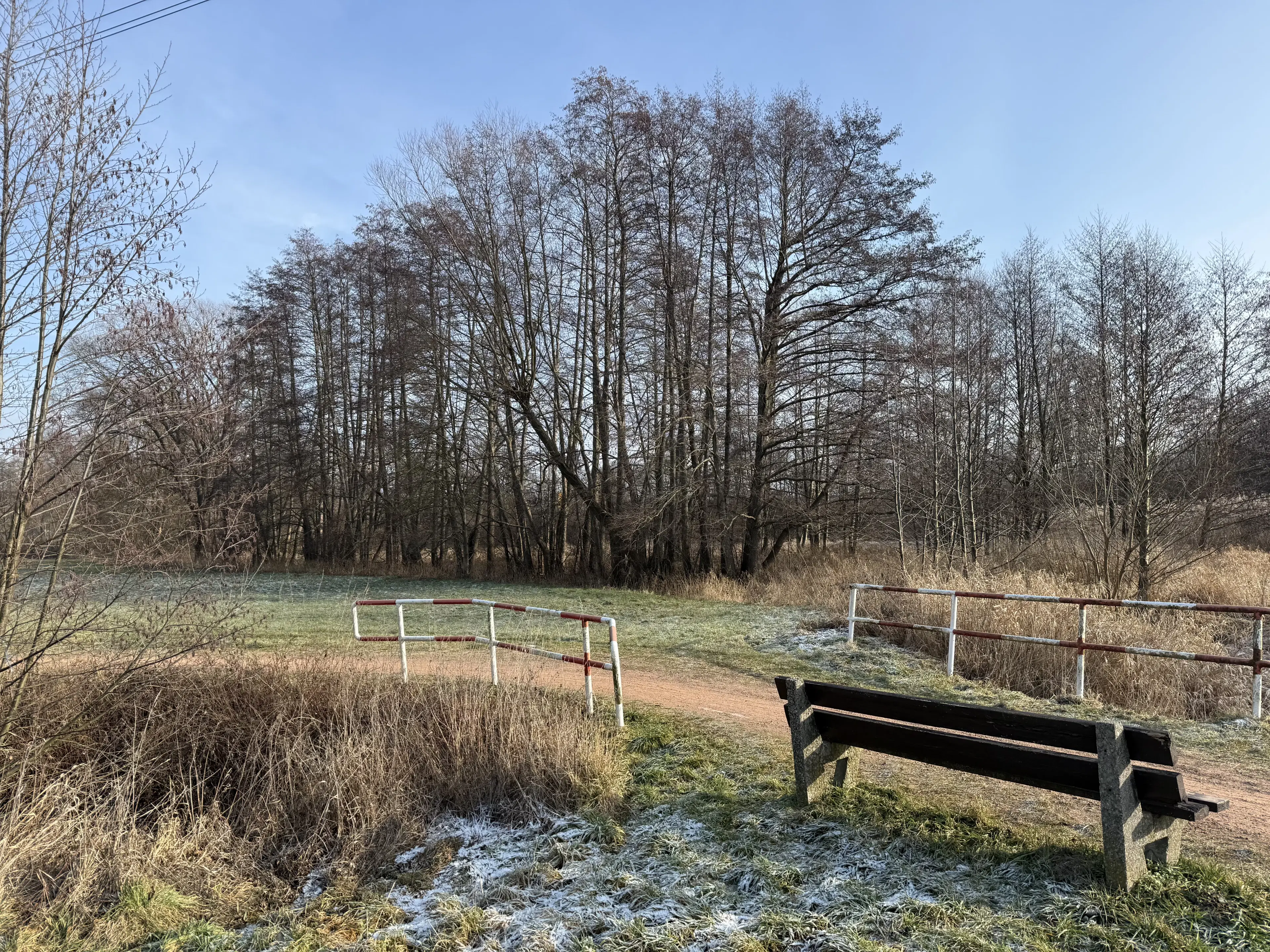 1.022 m² eigendomsperceel in de regio Döbeln - Duitsland