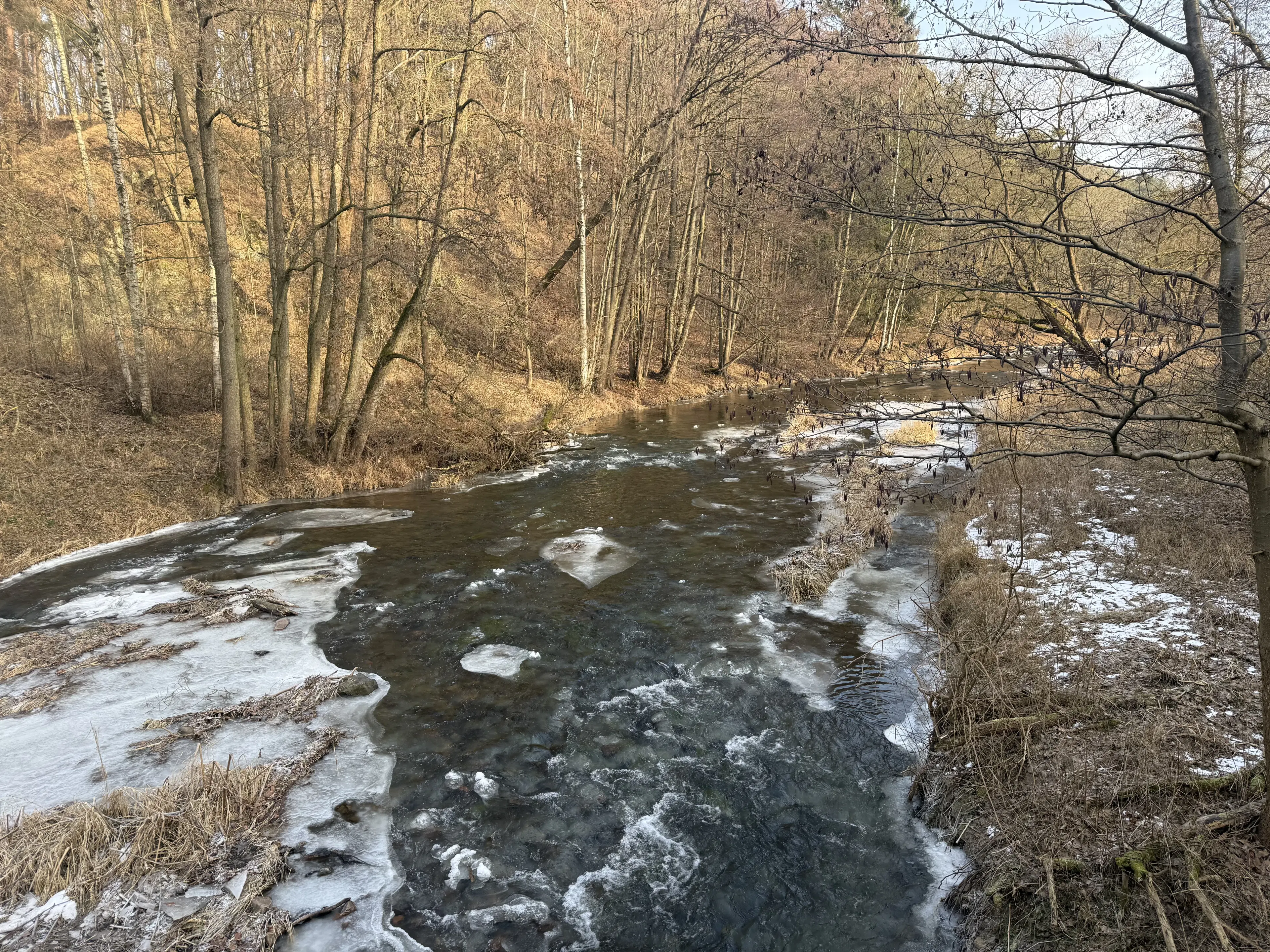 1.022 m² eigendomsperceel in de regio Döbeln - Duitsland
