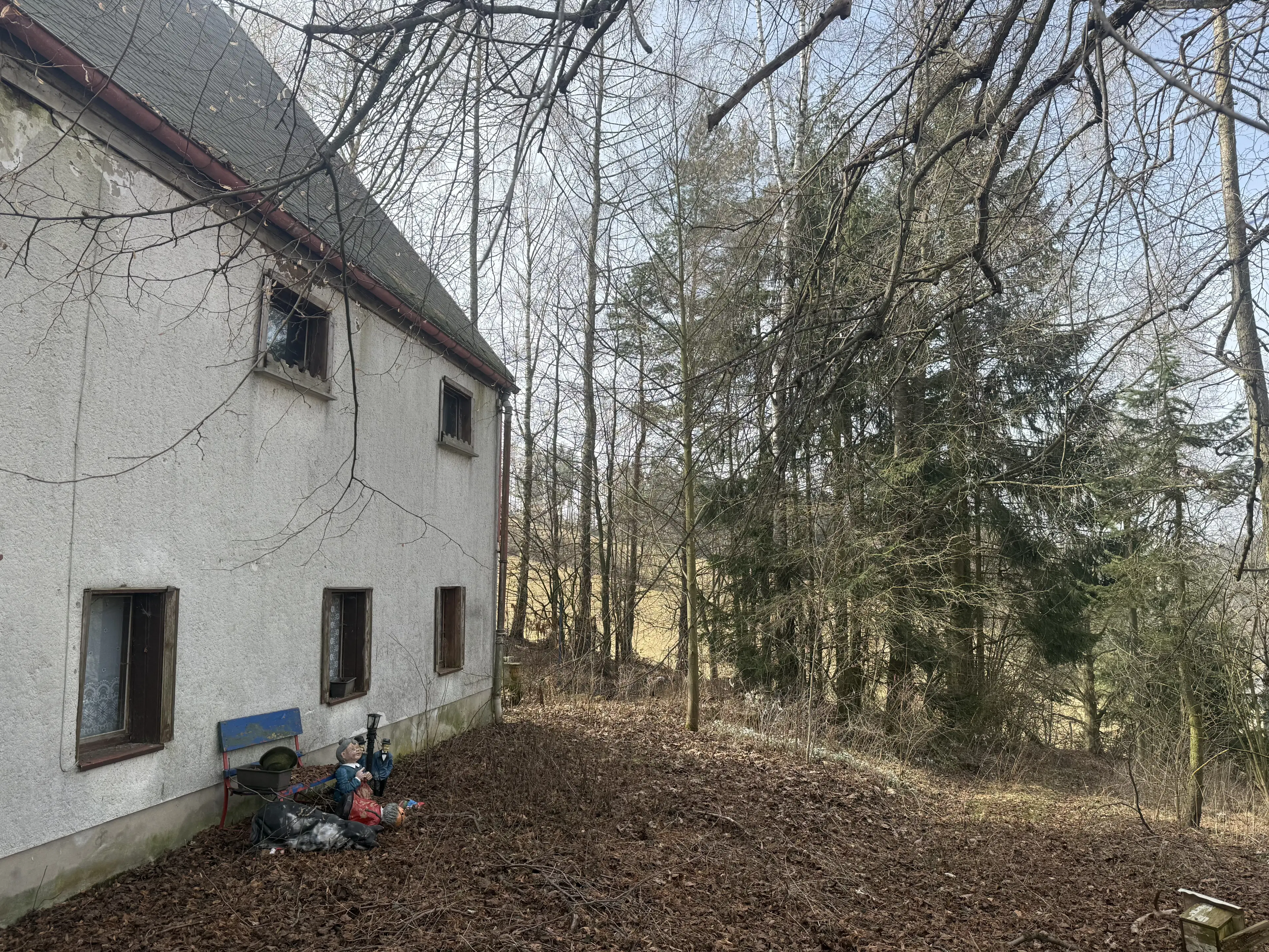 Woonhuis met 5 eenheden op perceel van 1.803 m² in Nassau, Freiberg, nabij Frauenstein - Duitsland