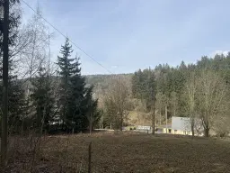 Woonhuis met 5 eenheden op perceel van 1.803 m² in Nassau, Freiberg, nabij Frauenstein - Duitsland