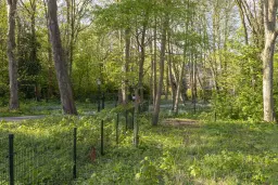 Landgoed 'Olaertsduyn' te Rockanje