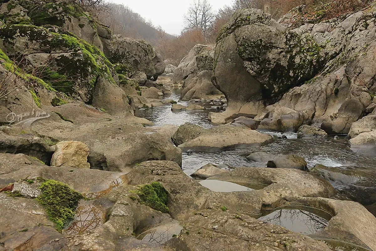113,324 m² loofbos in Gorno Ozirovo, Varshets Montana - Bulgarije