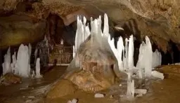 113,324 m² loofbos in Gorno Ozirovo, Varshets Montana - Bulgarije