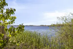 Woonboot genaamd De Witte Spin te Loosdrecht