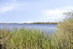 Woonboot genaamd De Witte Spin te Loosdrecht