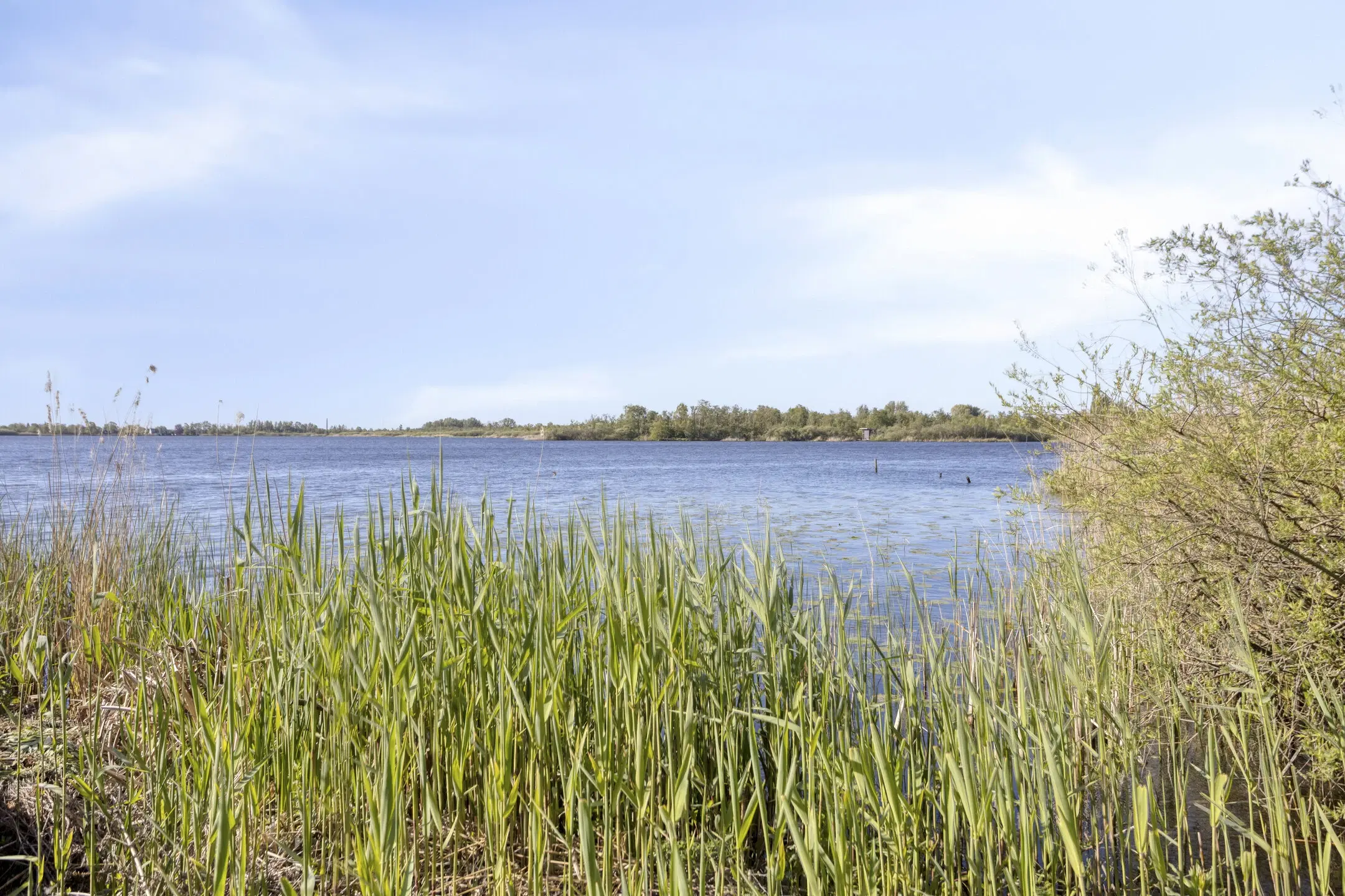 Woonboot genaamd De Witte Spin te Loosdrecht