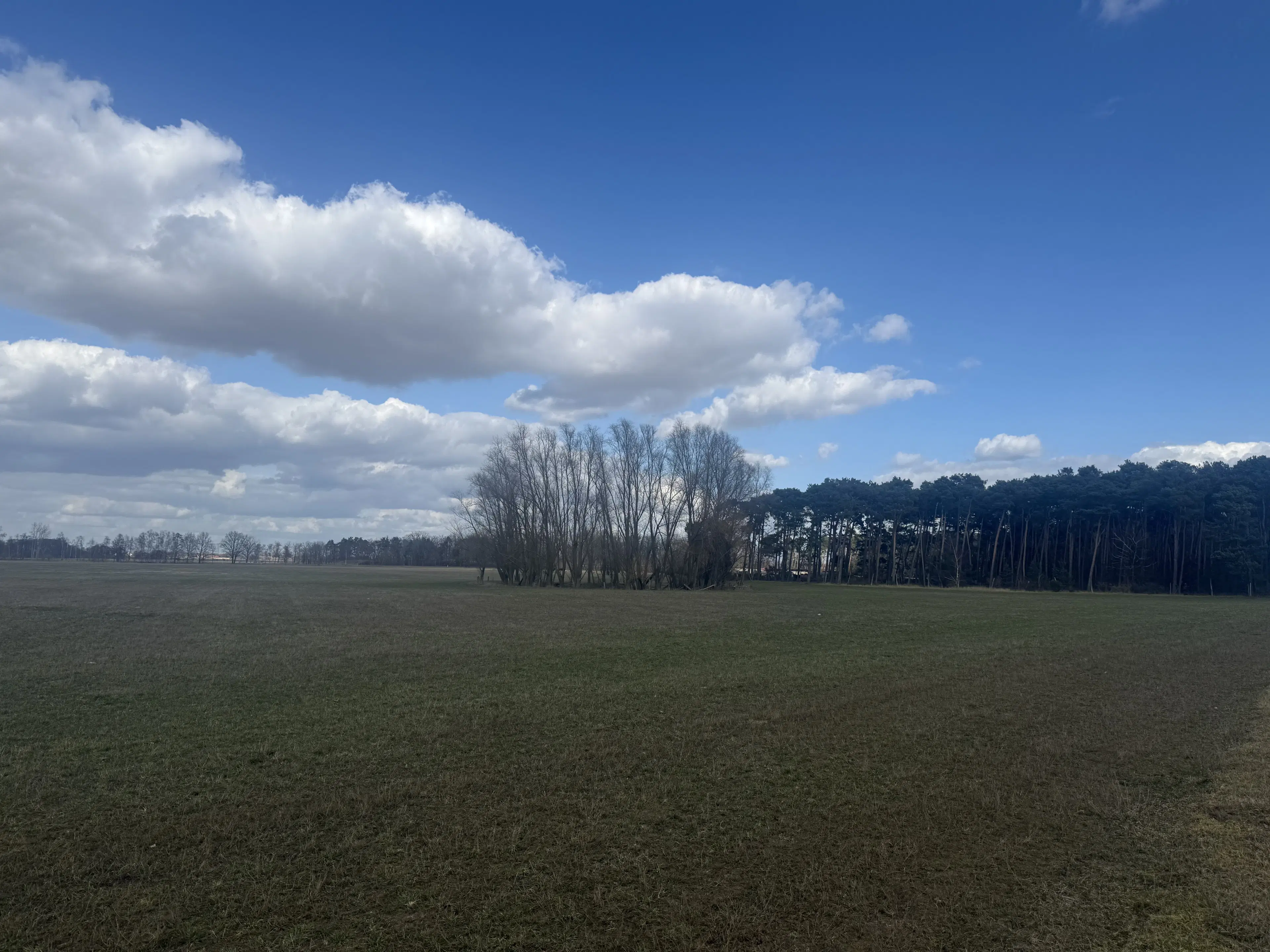 Eigendomsperceel van ca. 3.4 ha in Garlitz, nabij Berlijn - Duitsland