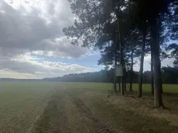Eigendomsperceel van ca. 3.4 ha in Garlitz, nabij Berlijn - Duitsland