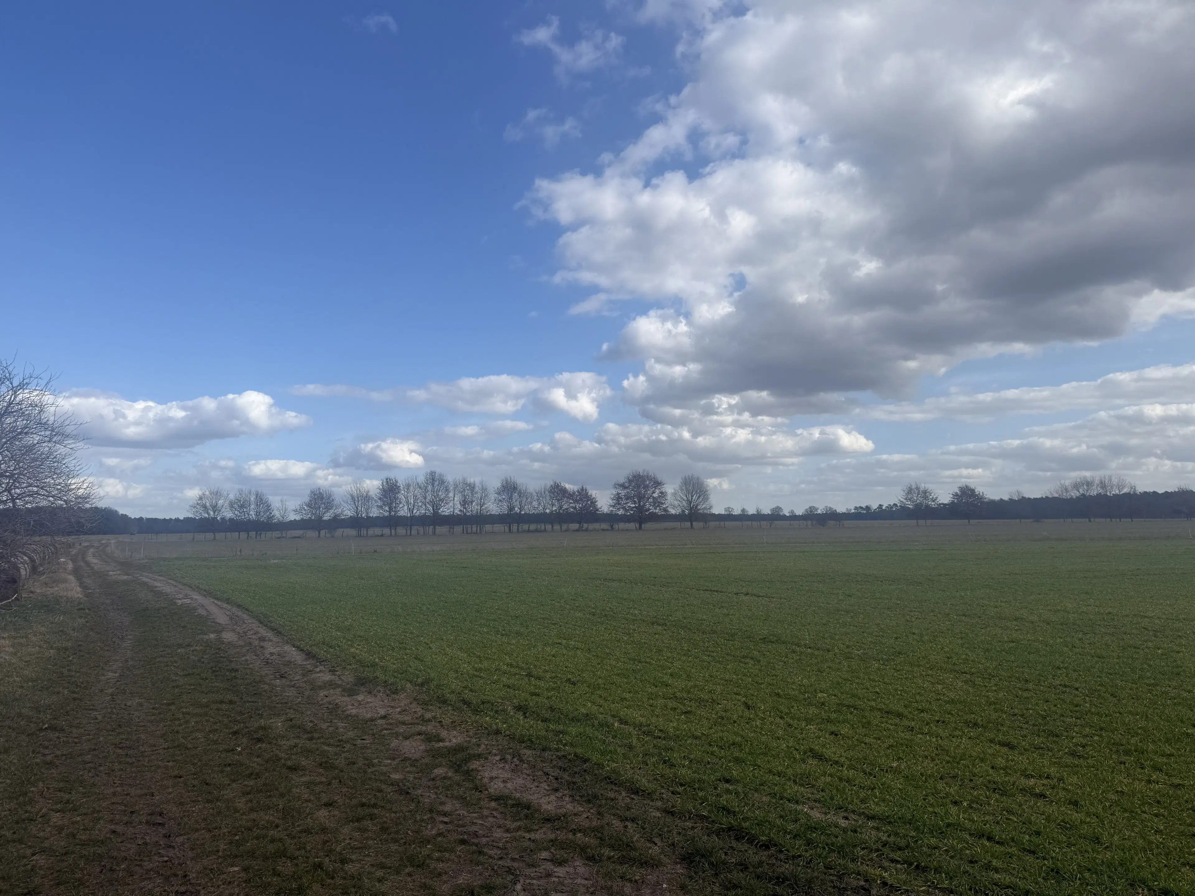 Eigendomsperceel van ca. 3.4 ha in Garlitz, nabij Berlijn - Duitsland