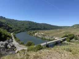 Wijngaard totaal 972 m² met Riesling in Zell, Cochem - Duitsland