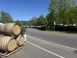 Wijngaard totaal 972 m² met Riesling in Zell, Cochem - Duitsland