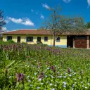 Perceel van 2.090 m² + Gezinswoning + Bijgebouwen - Karaisen, Veliko Tarnovo - Bulgarije