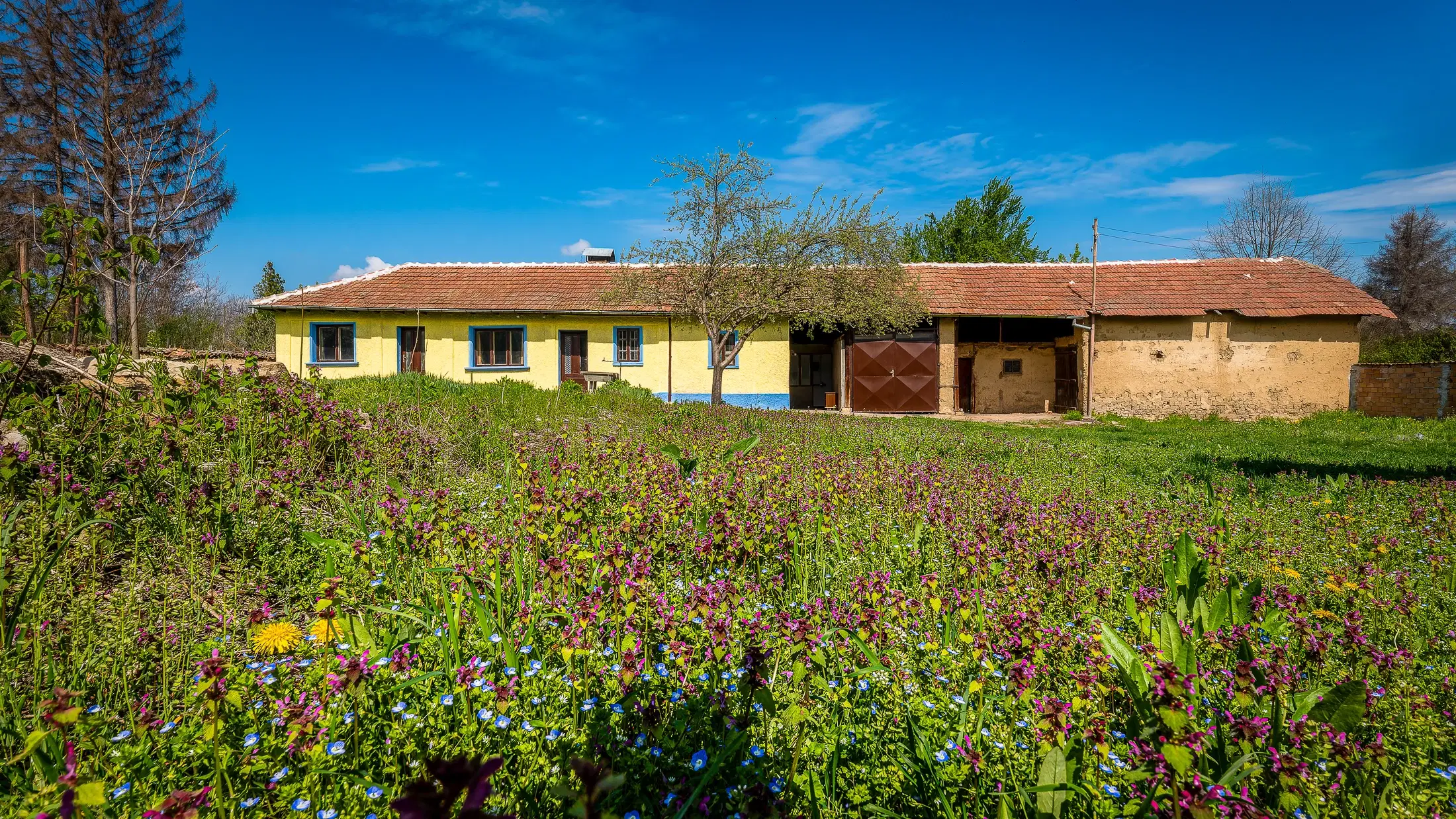 Perceel van 2.090 m² + Gezinswoning + Bijgebouwen - Karaisen, Veliko Tarnovo - Bulgarije