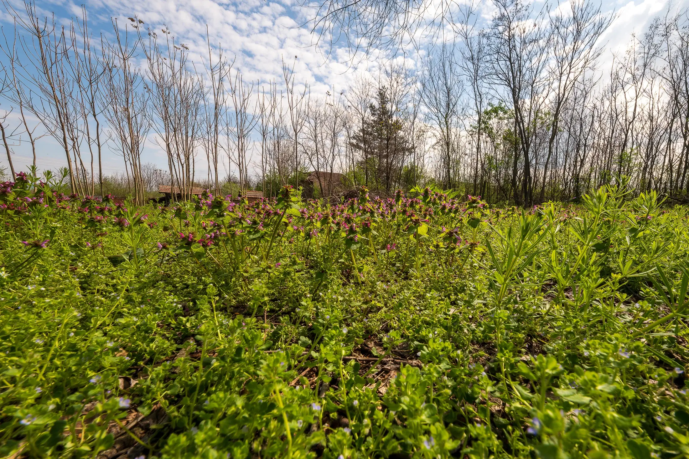Perceel van 2.090 m² + Gezinswoning + Bijgebouwen - Karaisen, Veliko Tarnovo - Bulgarije