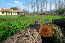 Perceel van 2.090 m² + Gezinswoning + Bijgebouwen - Karaisen, Veliko Tarnovo - Bulgarije