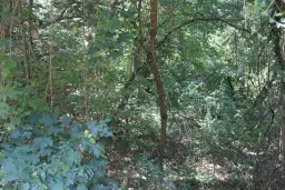 Bosgrond 30.194 m² - Investering & Natuurverblijf, Regio Troyan - Bulgarije