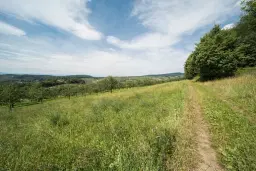 Landbouwgrond - Tolovitsa, regio Vidin - Bulgarije