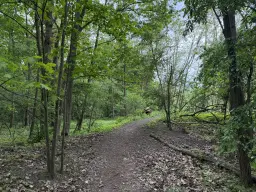 Fitnessbad op 1.450m2 perceel nabij Berlijn, Duitsland