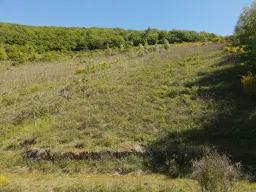 Voormalig wijngaardperceel van 1.688 m² in Zell, Cochem - Duitsland