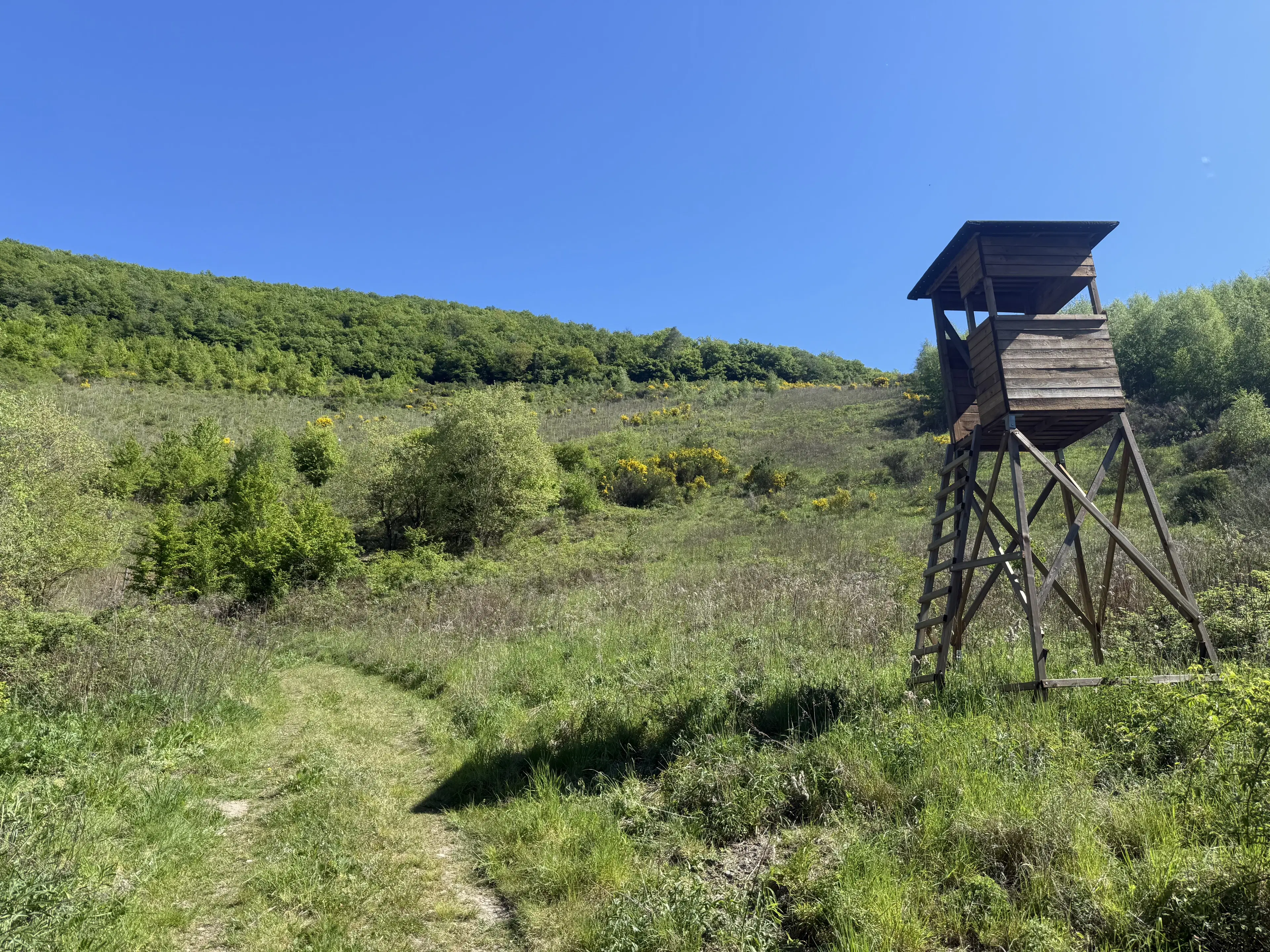 Voormalig wijngaardperceel van 1.688 m² in Zell, Cochem - Duitsland