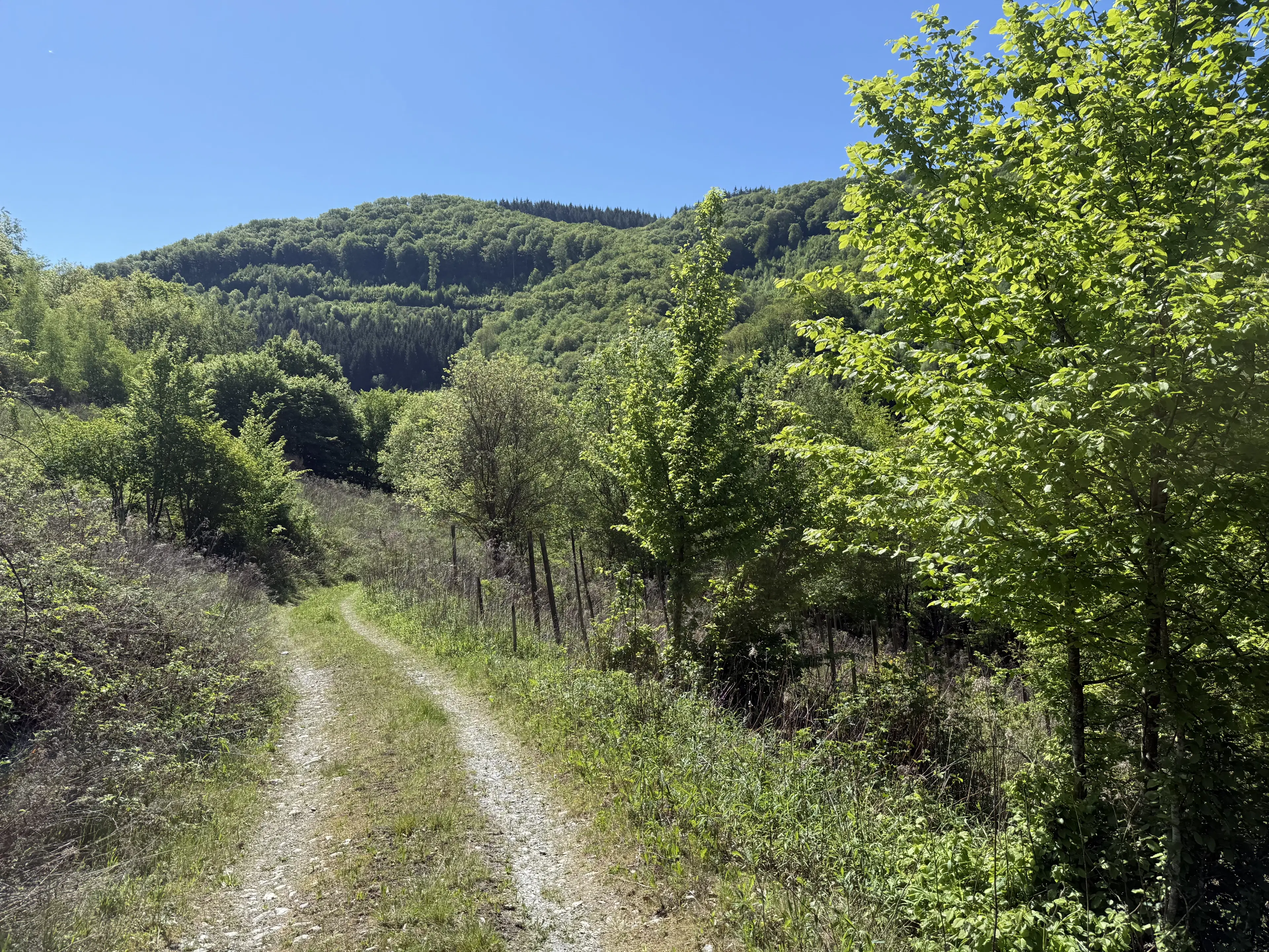 Voormalig wijngaardperceel van 1.688 m² in Zell, Cochem - Duitsland
