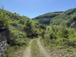Voormalig wijngaardperceel van 1.688 m² in Zell, Cochem - Duitsland