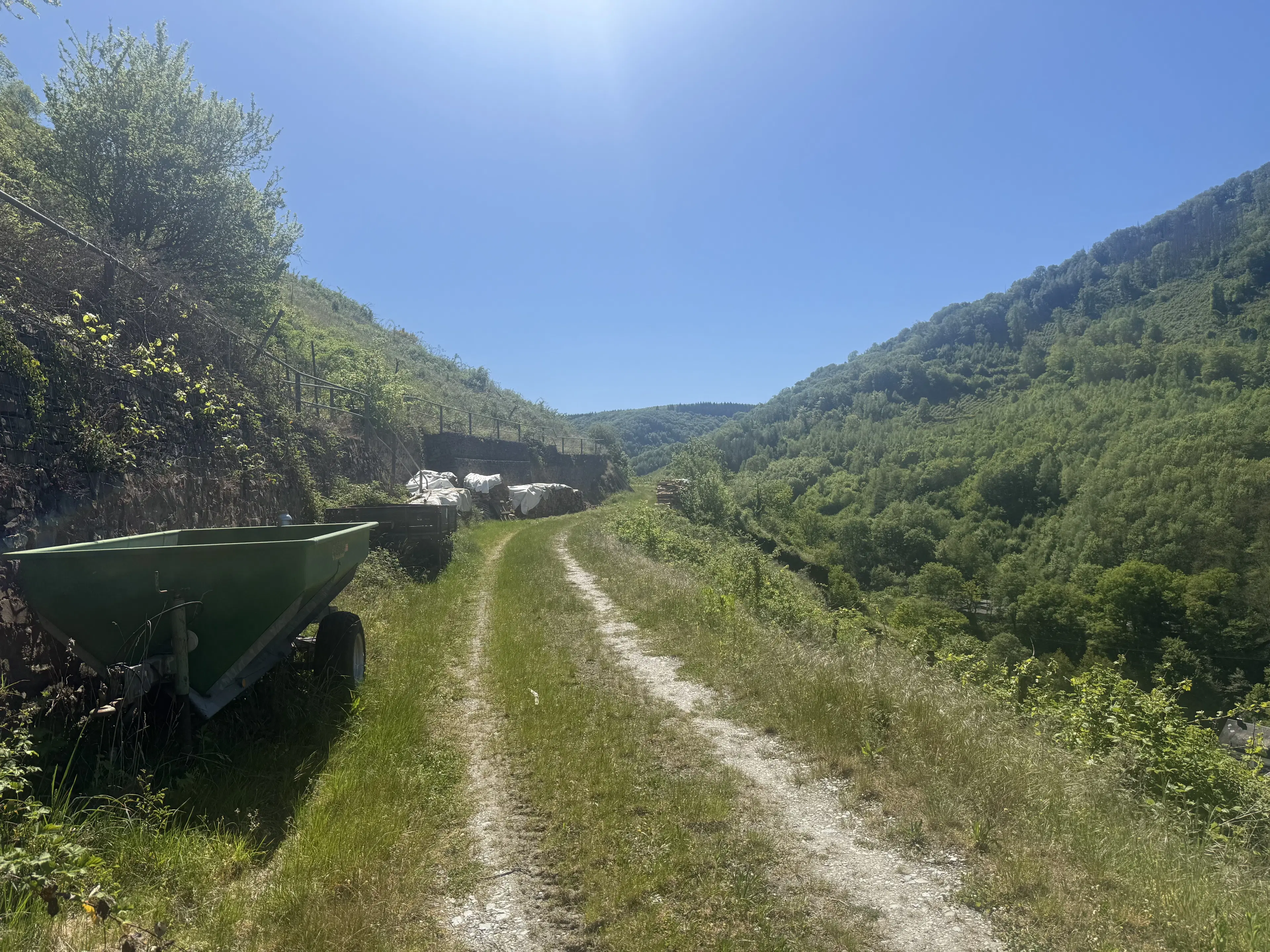 Voormalig wijngaardperceel van 1.688 m² in Zell, Cochem - Duitsland