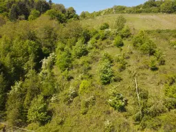 Recreatieperceel van 1.679 m² nabij Cochem - Duitsland