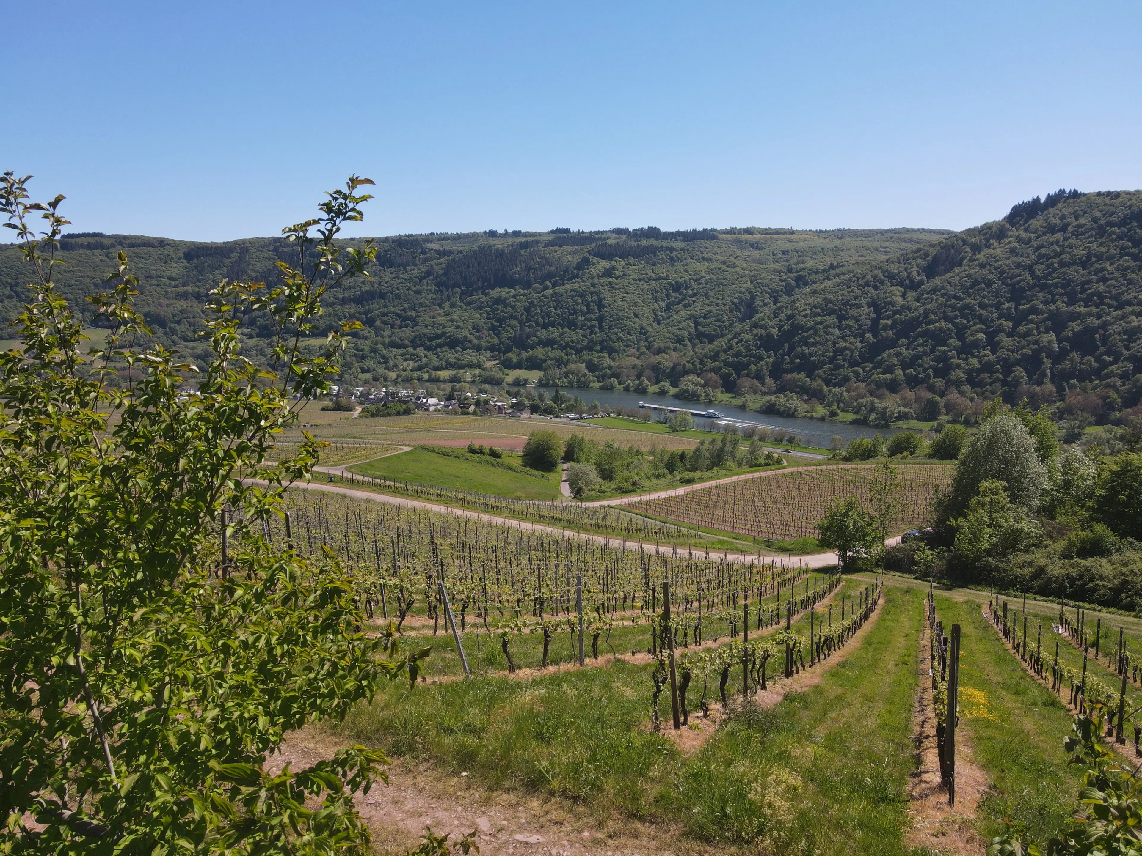 Recreatieperceel van 1.679 m² nabij Cochem - Duitsland