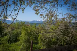 Perceel van 1.364 m² met gezinswoning en bijgebouwen in Damyanovo, Gabrovo - Bulgarije