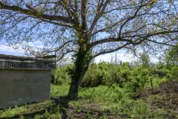 Perceel van 1.364 m² met gezinswoning en bijgebouwen in Damyanovo, Gabrovo - Bulgarije