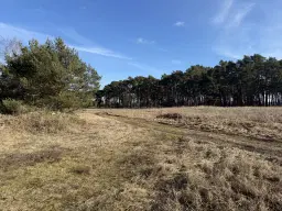 ca. 1.75 ha terrein naast natuurcamping Ragösen - Fläming - Duitsland