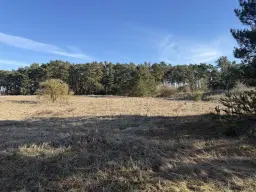 ca. 1.75 ha terrein naast natuurcamping Ragösen - Fläming - Duitsland