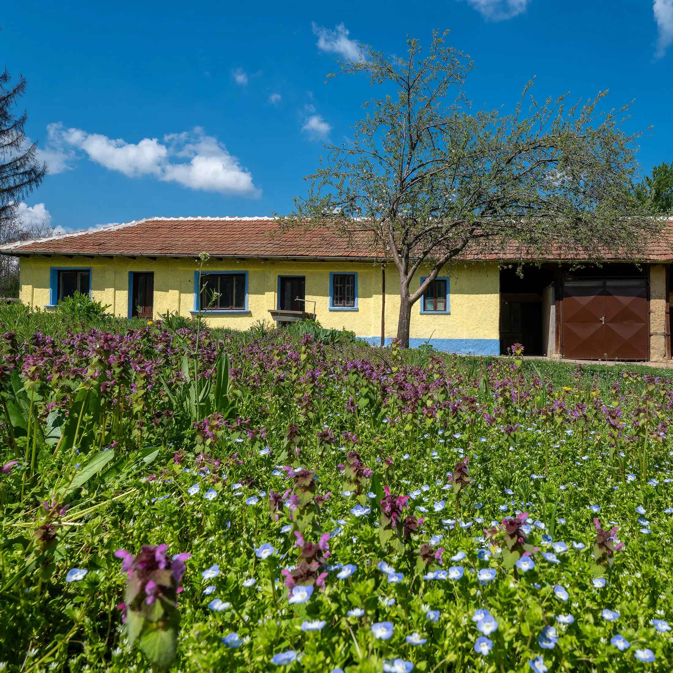 Gezinswoning op 2.090 m² perceel en bijgebouwen in Karaisen, Veliko Tarnovo - Bulgarije