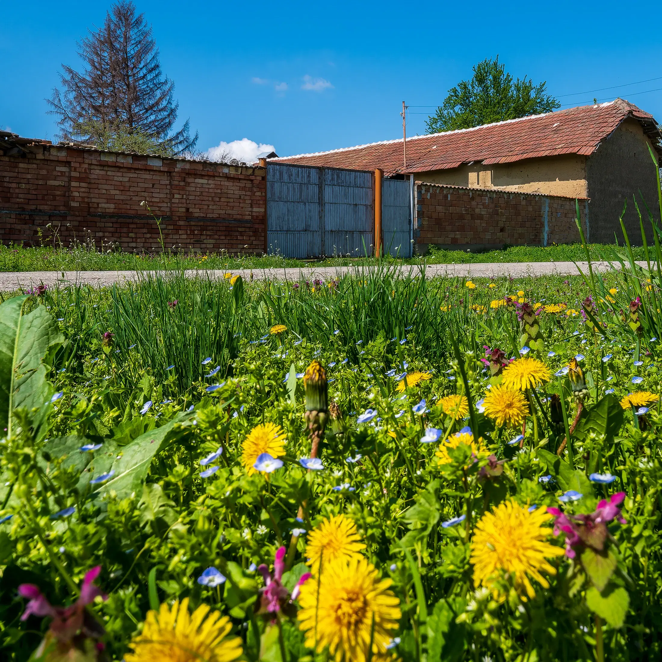 Gezinswoning op 2.090 m² perceel en bijgebouwen in Karaisen, Veliko Tarnovo - Bulgarije