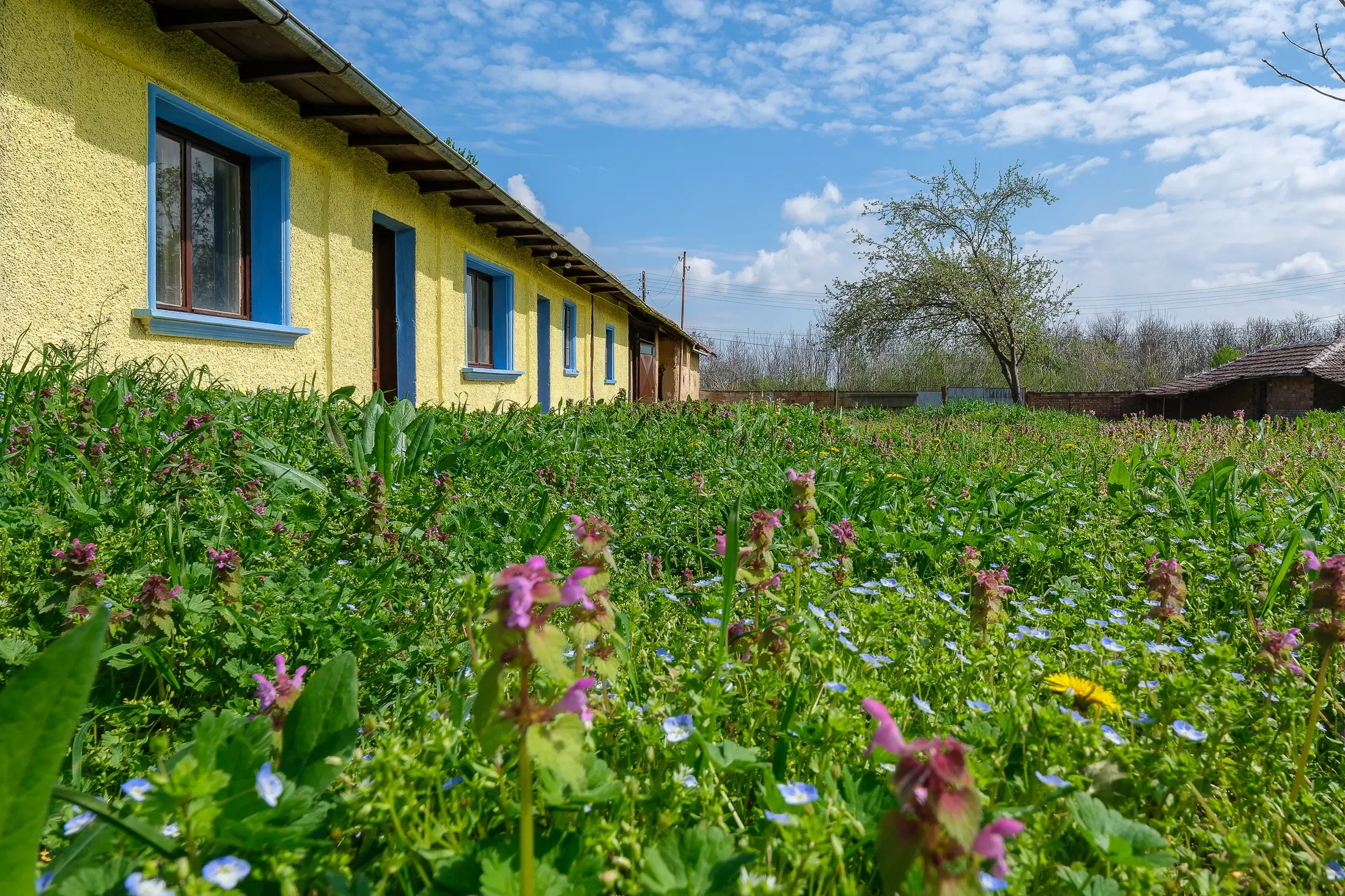 Gezinswoning op 2.090 m² perceel en bijgebouwen in Karaisen, Veliko Tarnovo - Bulgarije