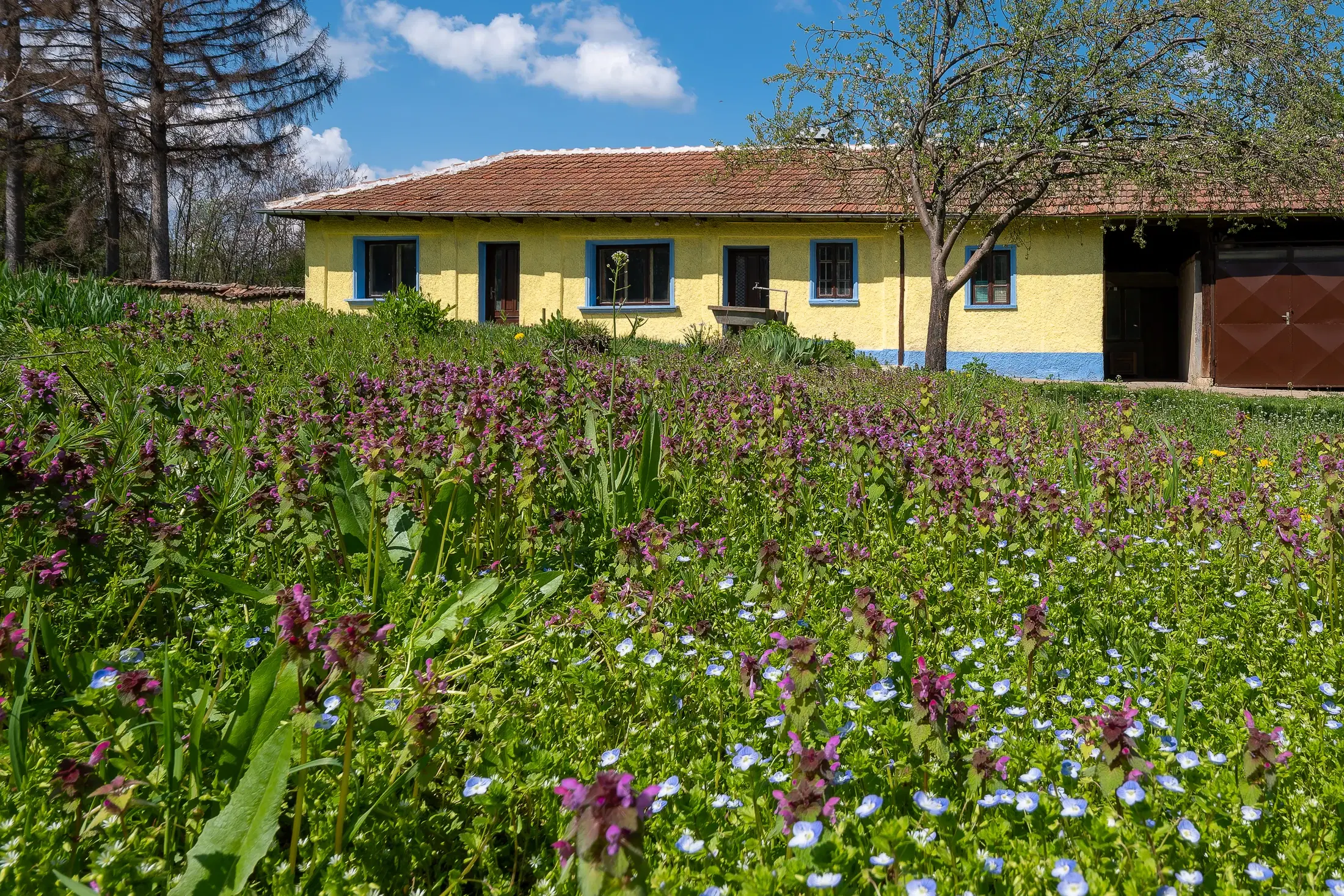 Gezinswoning op 2.090 m² perceel en bijgebouwen in Karaisen, Veliko Tarnovo - Bulgarije