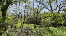 PARTNERVEILING - Farm house, Dennitsa (Bulgarije) 