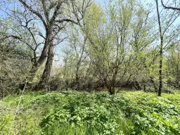 PARTNERVEILING - Farm house, Dennitsa (Bulgarije) 
