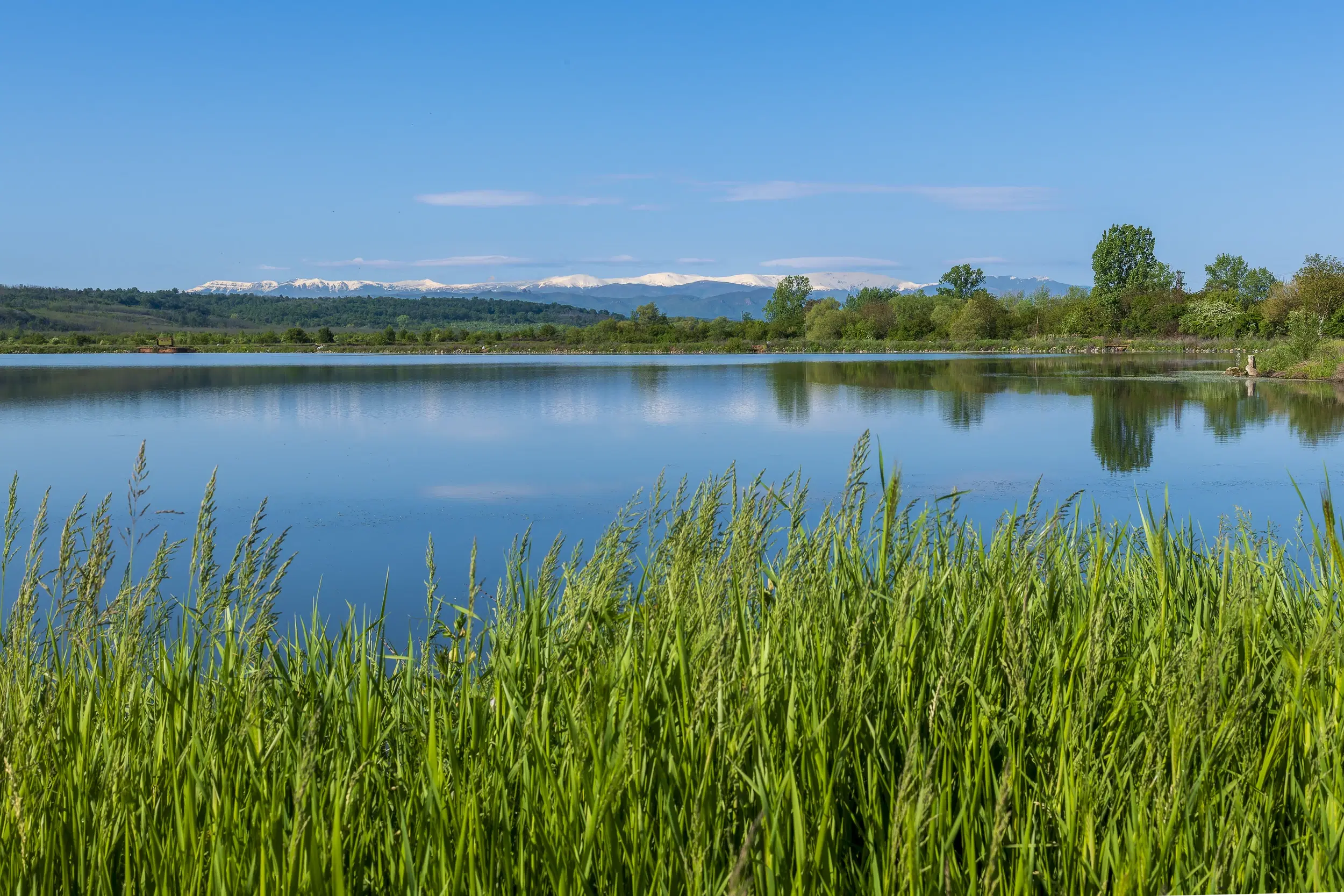 6.347 m² bos met uitzicht op het meer en toegang via geasfalteerde weg in Montana regio - Bulgarije
